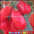 Dados a granel al por mayor bayas de goji Ningxia goji Berry hace extracto de bayas de Goji Calidad superior